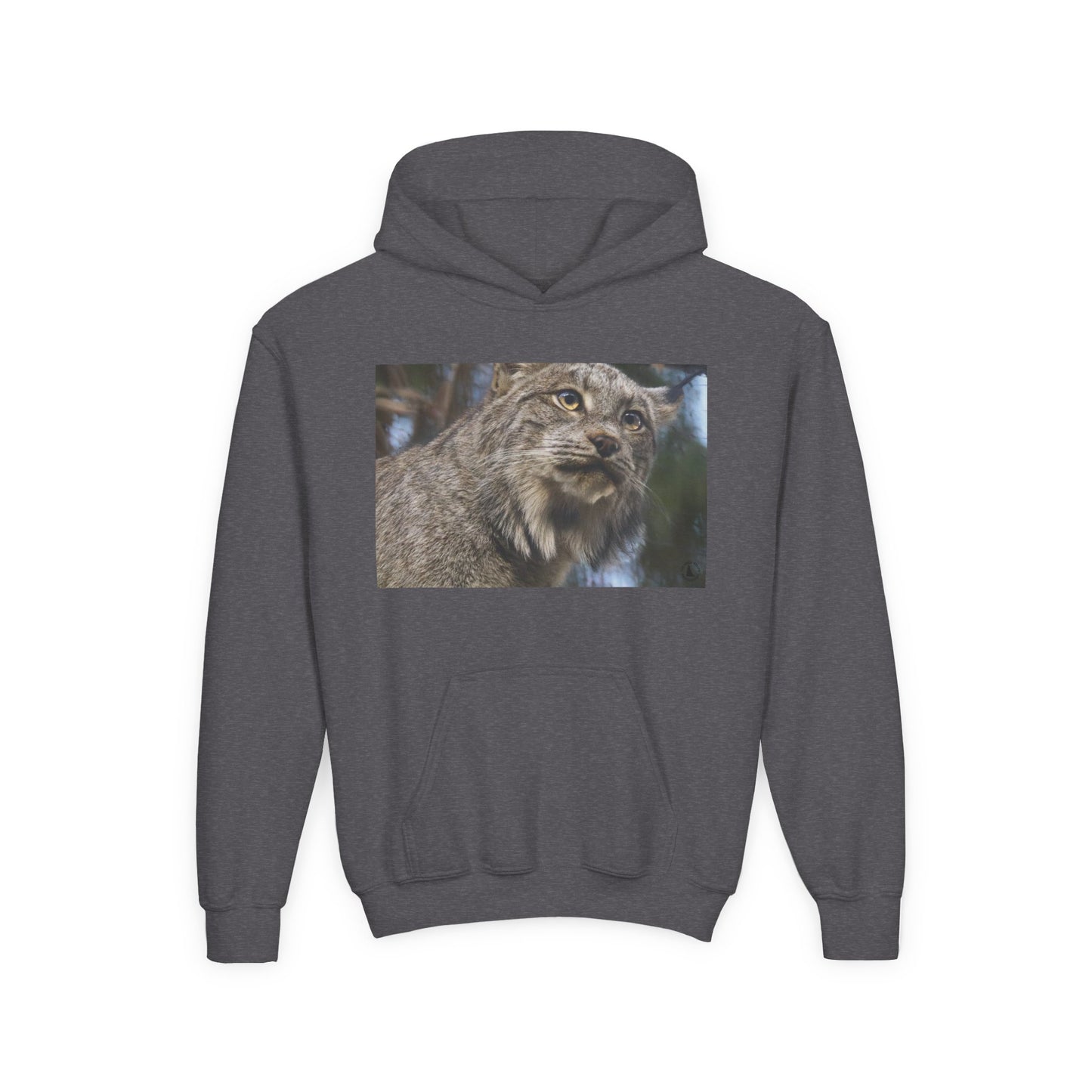 Youth Lynx Hoodie – Realistic Wildcat Photo Pullover for Kids