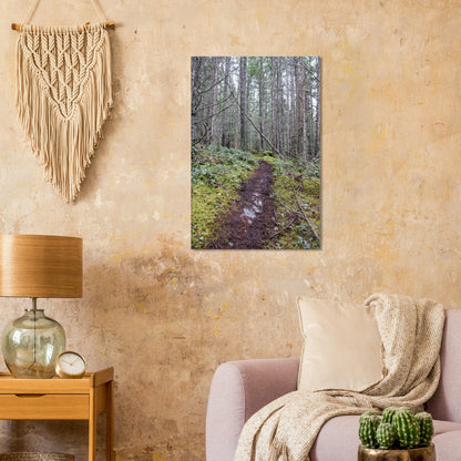 2755be01-6b11-41be-b073-e7c0aebac4b1