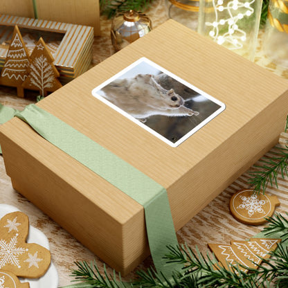 Flying Sugar Glider Sticker — Cute Gliding Pet Laptop Decal