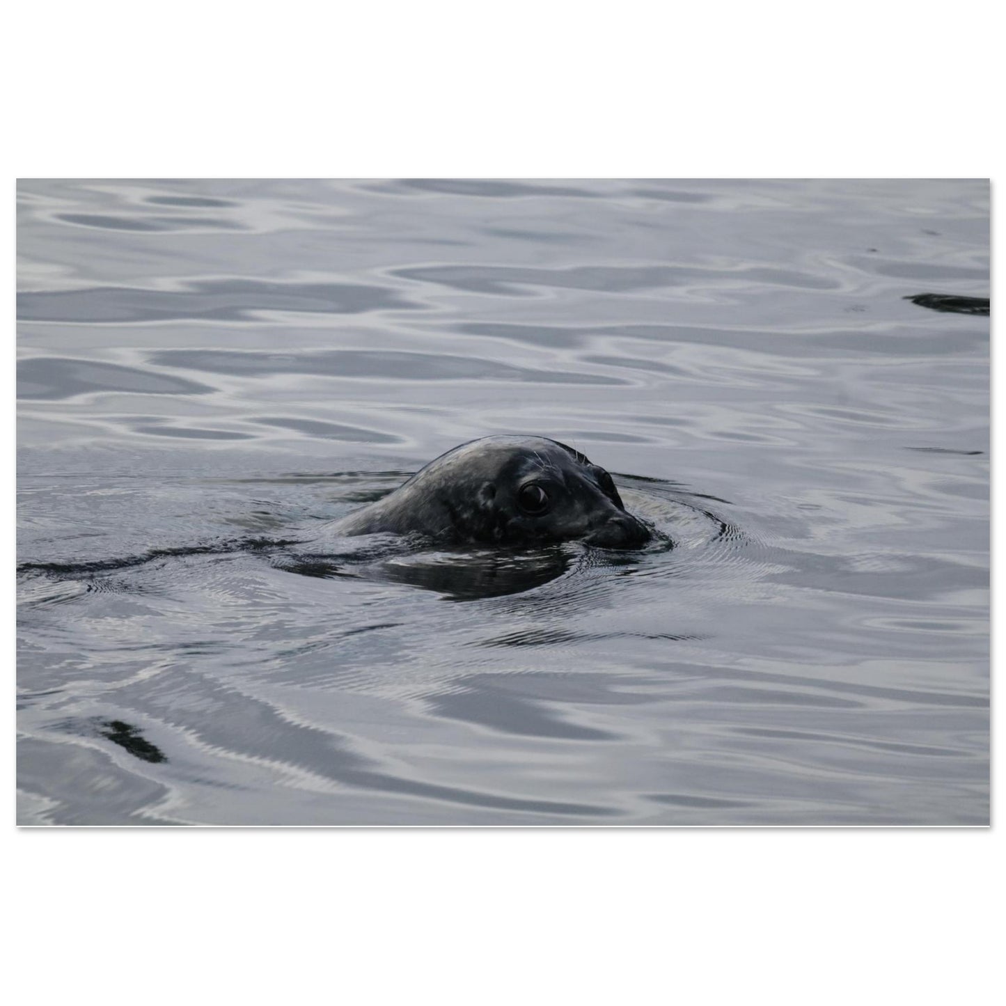 276f9691-ee7e-41cc-890c-4832f7ad4192