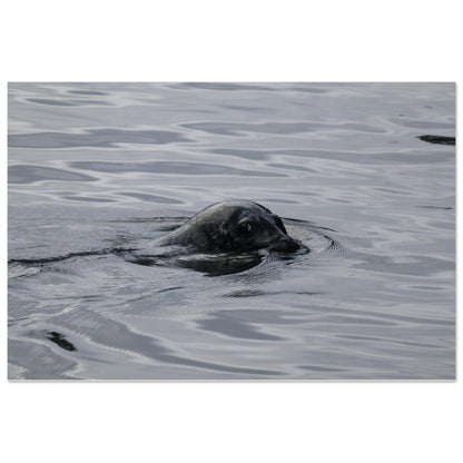 276f9691-ee7e-41cc-890c-4832f7ad4192