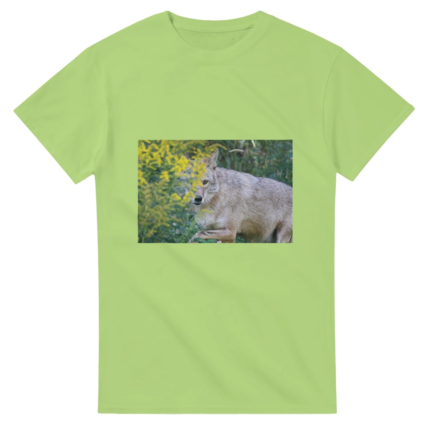 27ae22fe-b78b-4dc4-8b3f-40b08b6dc1e0