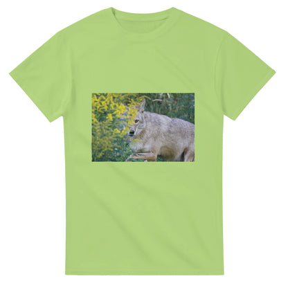 27ae22fe-b78b-4dc4-8b3f-40b08b6dc1e0