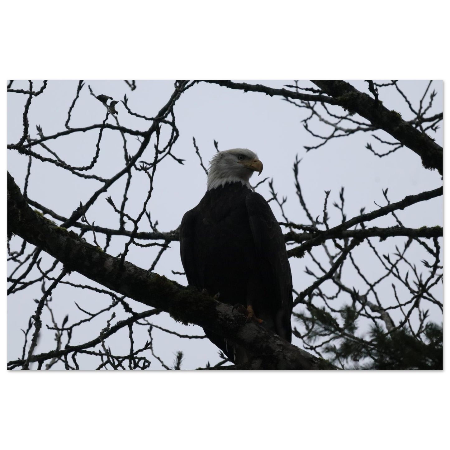 2809c959-653a-44ec-a519-c04568a32978