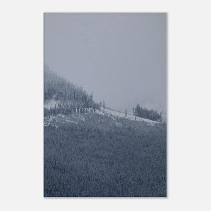 2813016f-a07f-462f-9456-80f65951b625