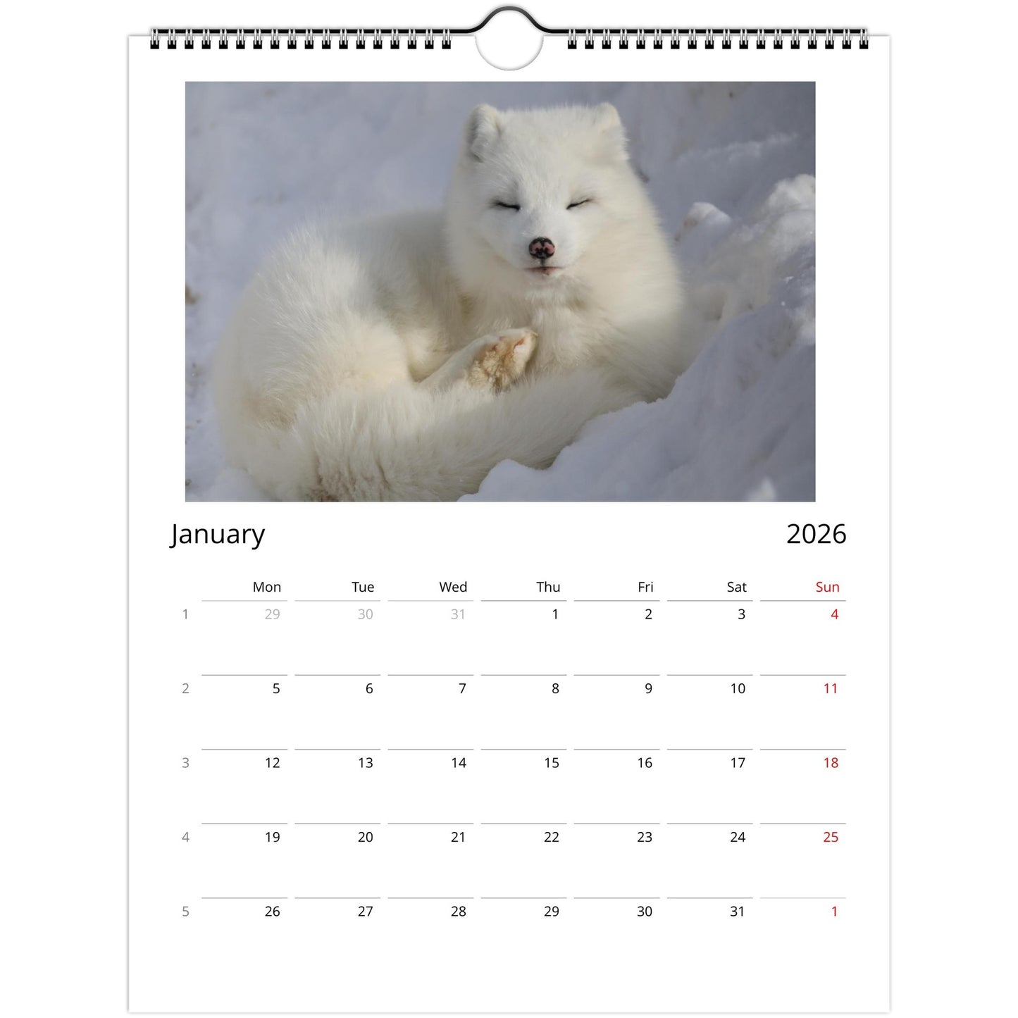 281a2460-7064-4fae-a73b-2878b9dba94c