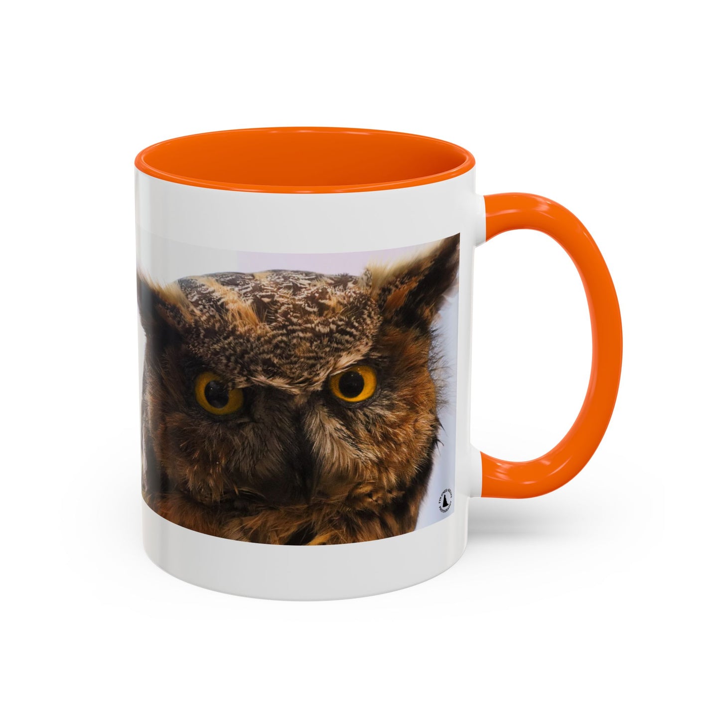 Owl Accent Coffee Mug – Realistic Great Horned Owl Photo (11/15 oz)