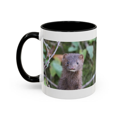 Cute Mink Photo Accent Mug – Wildlife Photography Coffee Cup (11/15 oz)