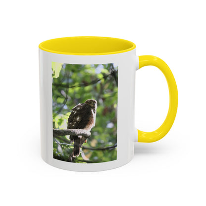 Hawk Perch Accent Coffee Mug (11/15 oz) – Nature Bird Photography