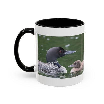 Loon Family Accent Coffee Mug – Wildlife Photo Tea Mug (11/15 oz)