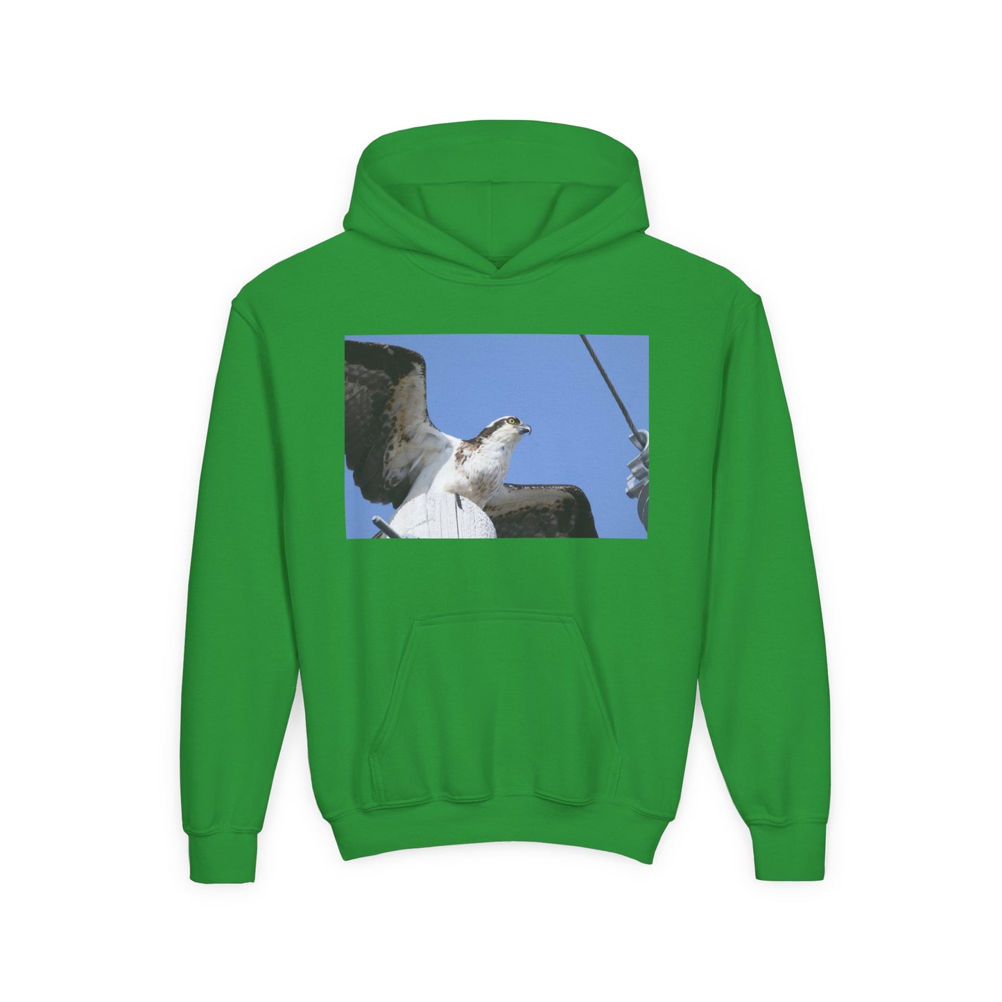 Youth Osprey Photo Hoodie — Kids Birdwatching Nature Pullover