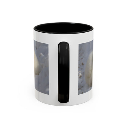 Arctic Fox Photo Accent Coffee Mug – Winter Wildlife Ceramic Mug (11/15oz)