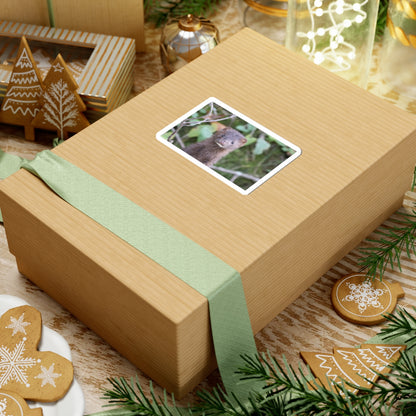 Curious Mink Photo Sticker — Cute Wildlife Laptop Decal