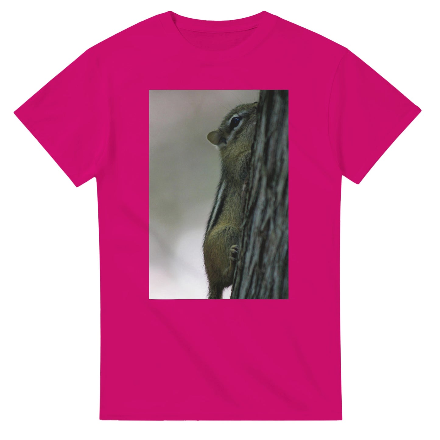 2896d819-2371-4365-a37c-0dacb69010e0