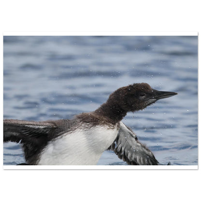 28b8d76f-3b1e-405f-b864-3eb5a8d9e9e8