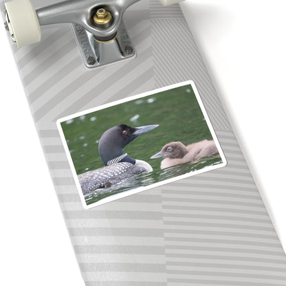 Common Loon Sticker — Kiss-Cut Wildlife Sticker with Loon and Chick, Nature Laptop Decal