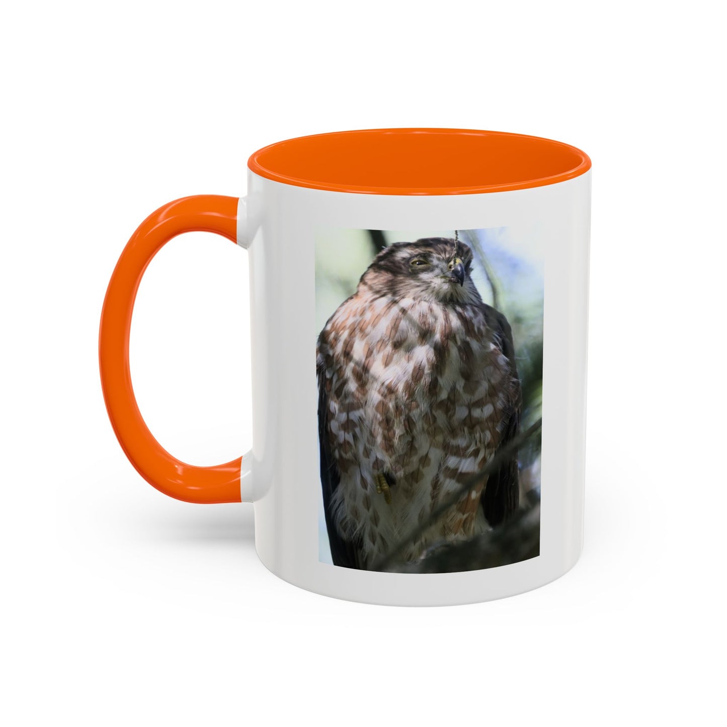 Hawk Photo Accent Coffee Mug — Birdwatcher Gift, 11/15oz