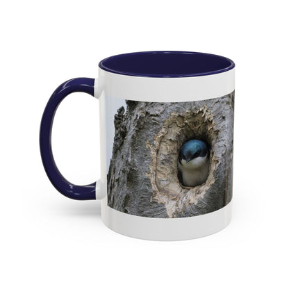 Bluebird in Tree Cavity Accent Coffee Mug — Nature Wildlife Ceramic Mug (11/15oz)