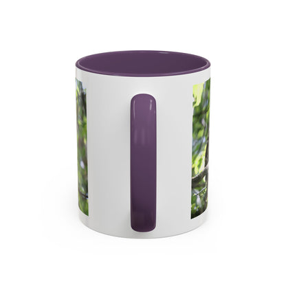 Hawk Perch Accent Coffee Mug (11/15 oz) – Nature Bird Photography