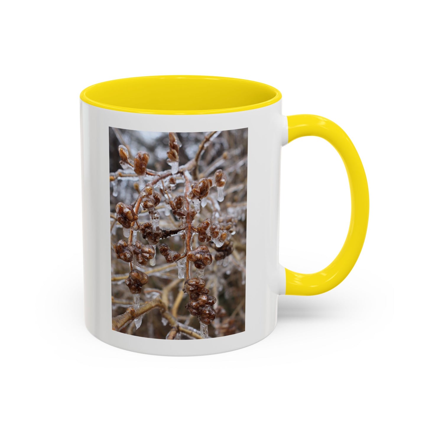 Ice-Coated Berries Accent Coffee Mug (11/15 oz) — Winter Nature Photo