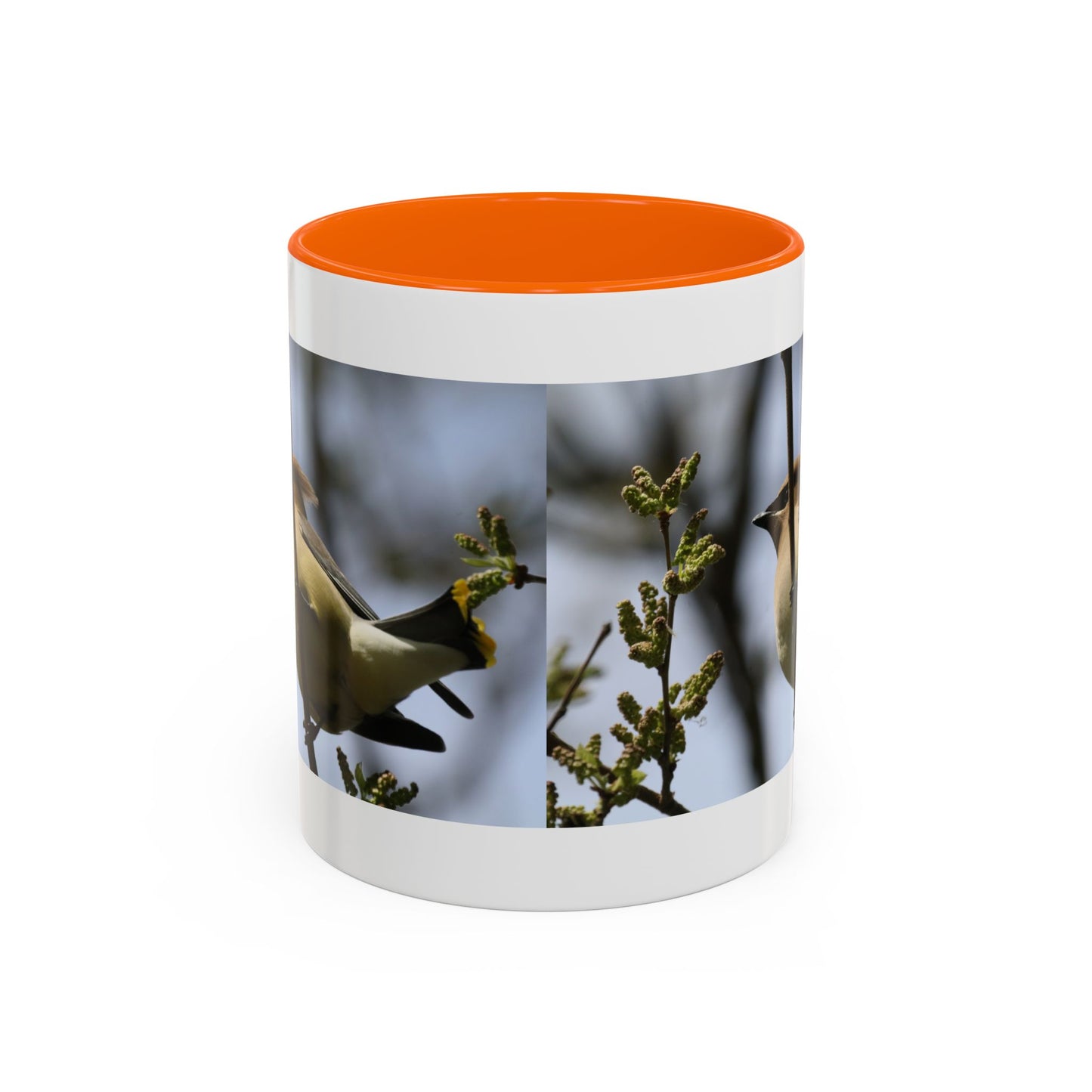 Cedar Waxwing Bird Photo Accent Coffee Mug