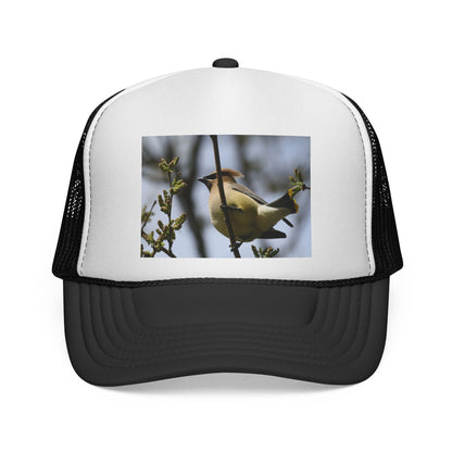Bird Photography Trucker Cap – Yellow Warbler Print