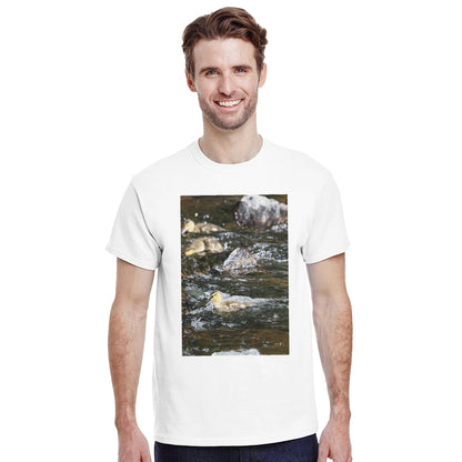 29ceeea9-000a-4555-b938-f03606280344