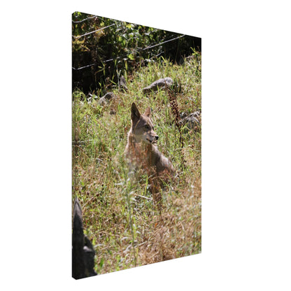 2a60b340-1712-4e2a-896c-f3119239e331