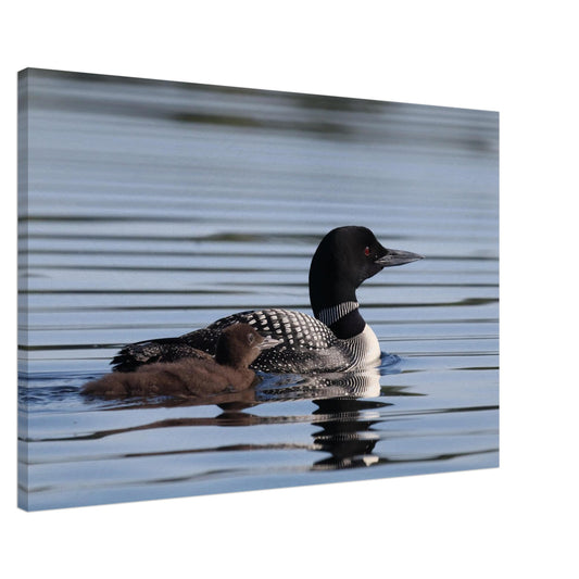 2a72e5fb-74b5-4e95-9515-8841d0511aee