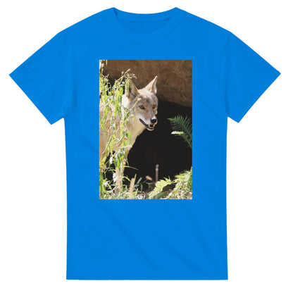 2b198c17-ee94-45de-8a42-7517e98d7fc6