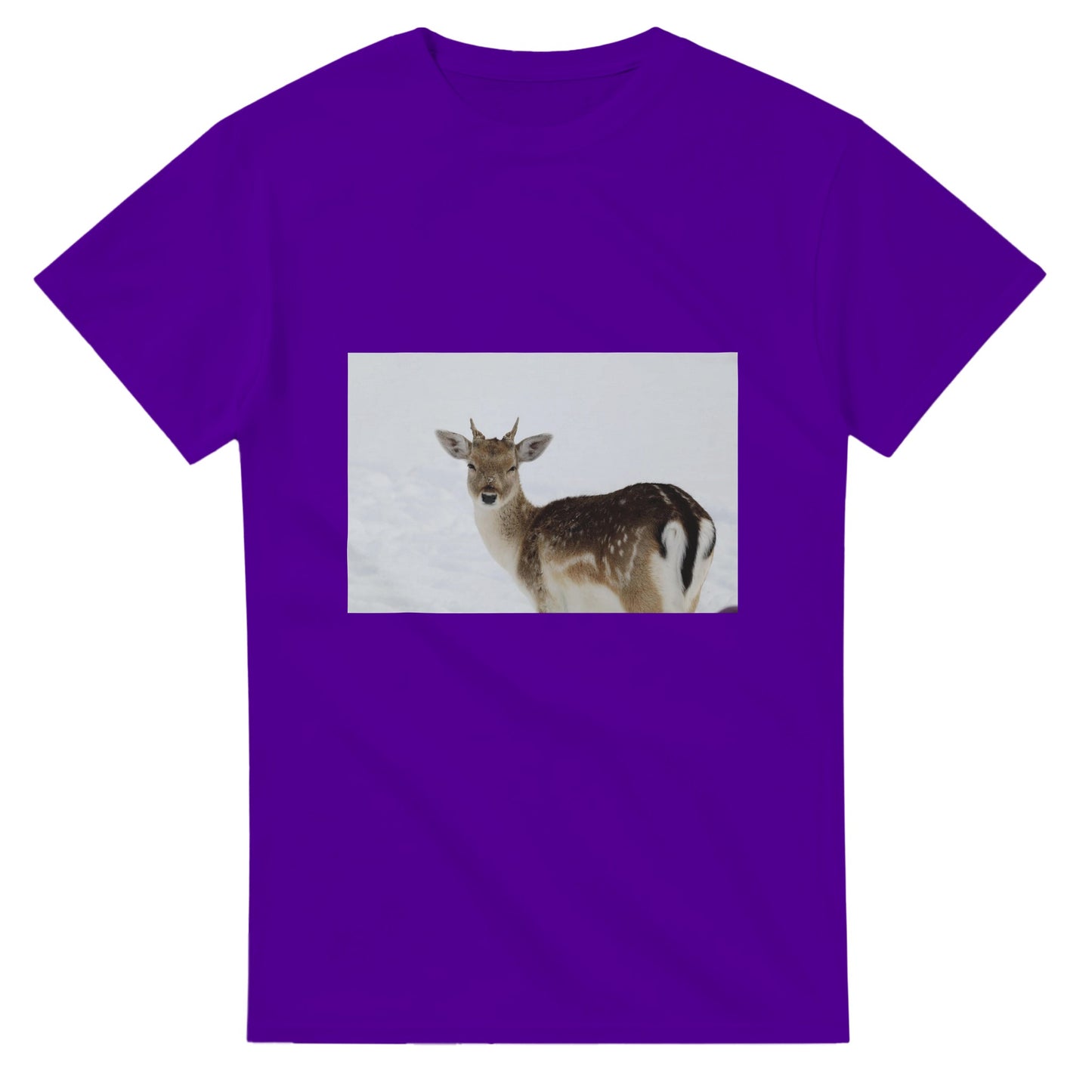 2b79c1f2-dd2e-4020-acb7-75869b9a832d