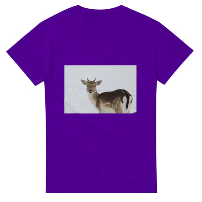 2b79c1f2-dd2e-4020-acb7-75869b9a832d