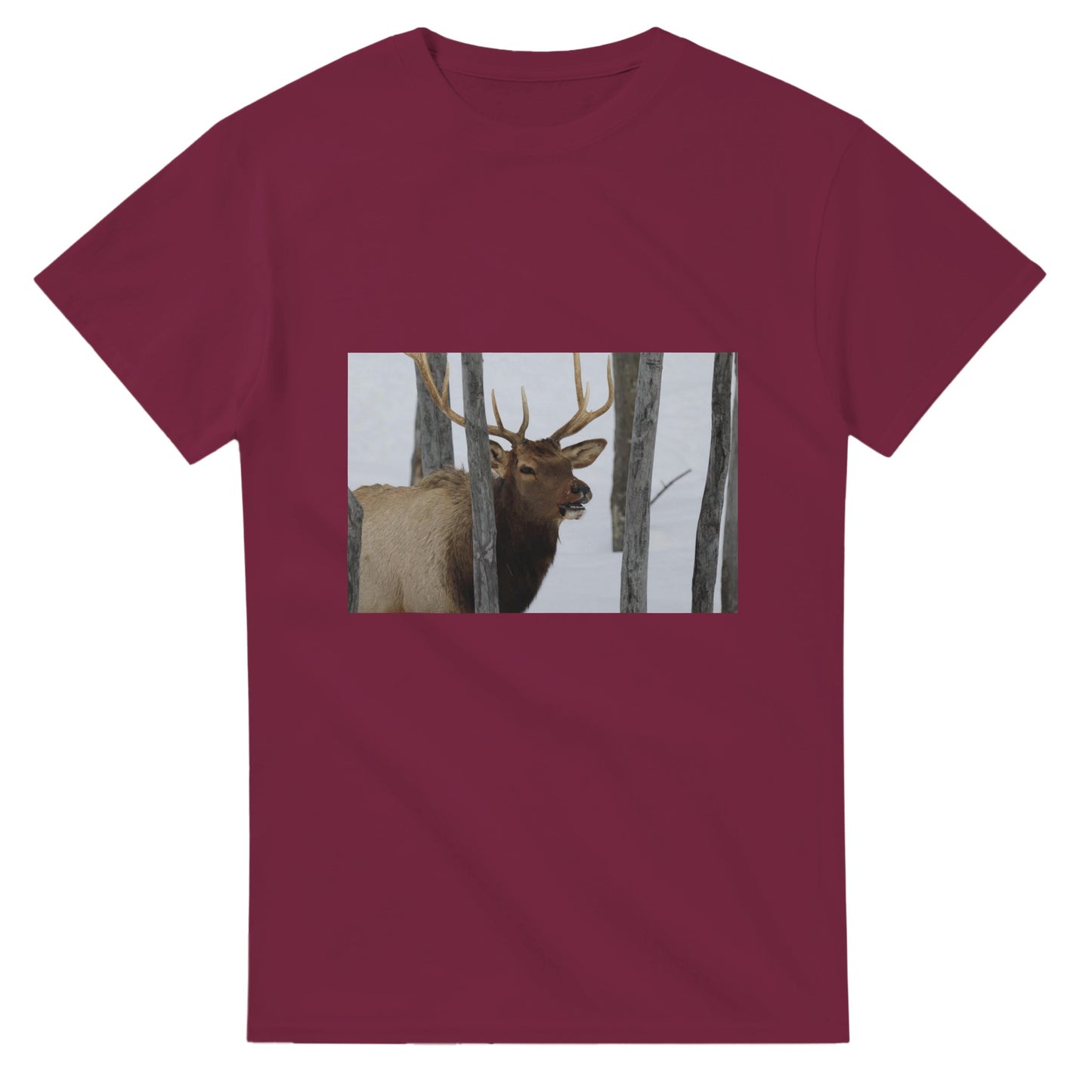 2c38d0fe-b1b0-42f4-946e-aeec5b3d64f7