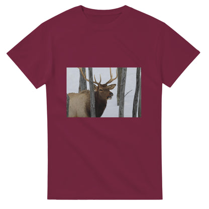 2c38d0fe-b1b0-42f4-946e-aeec5b3d64f7