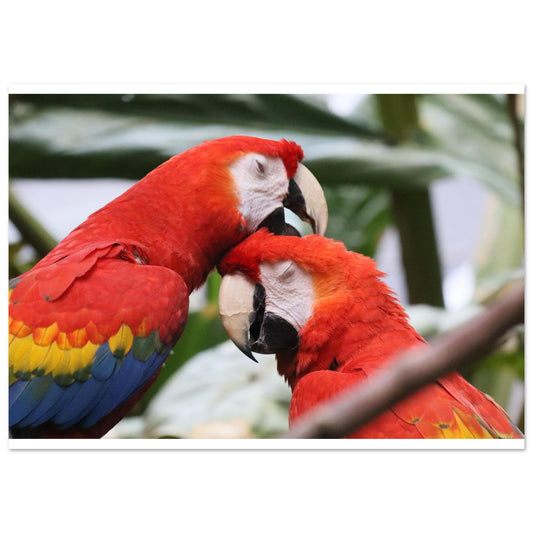 2c69569c-99d6-431c-9331-b0a53ae09f21