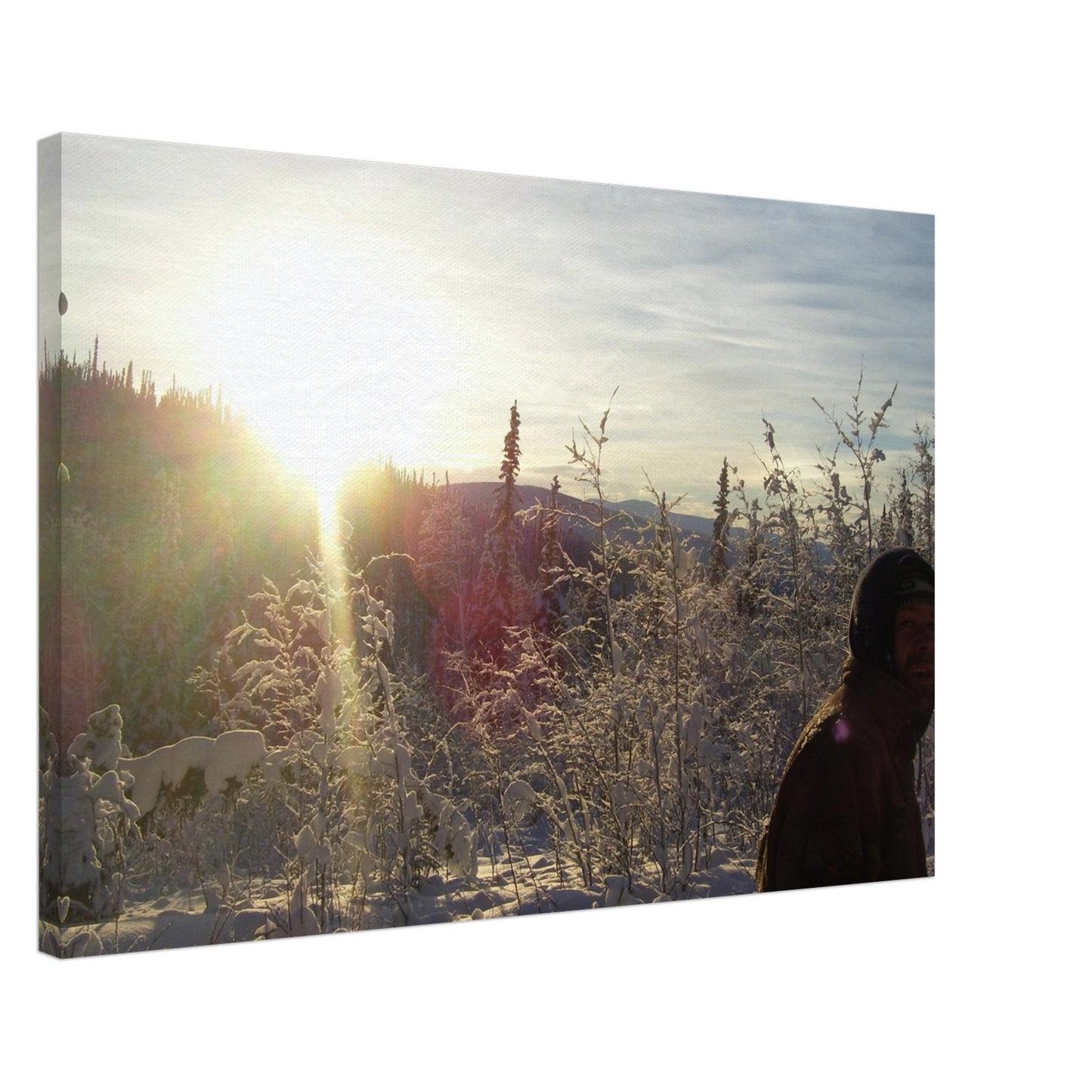 2c8305d7-3cc3-458a-a96f-258c02052750