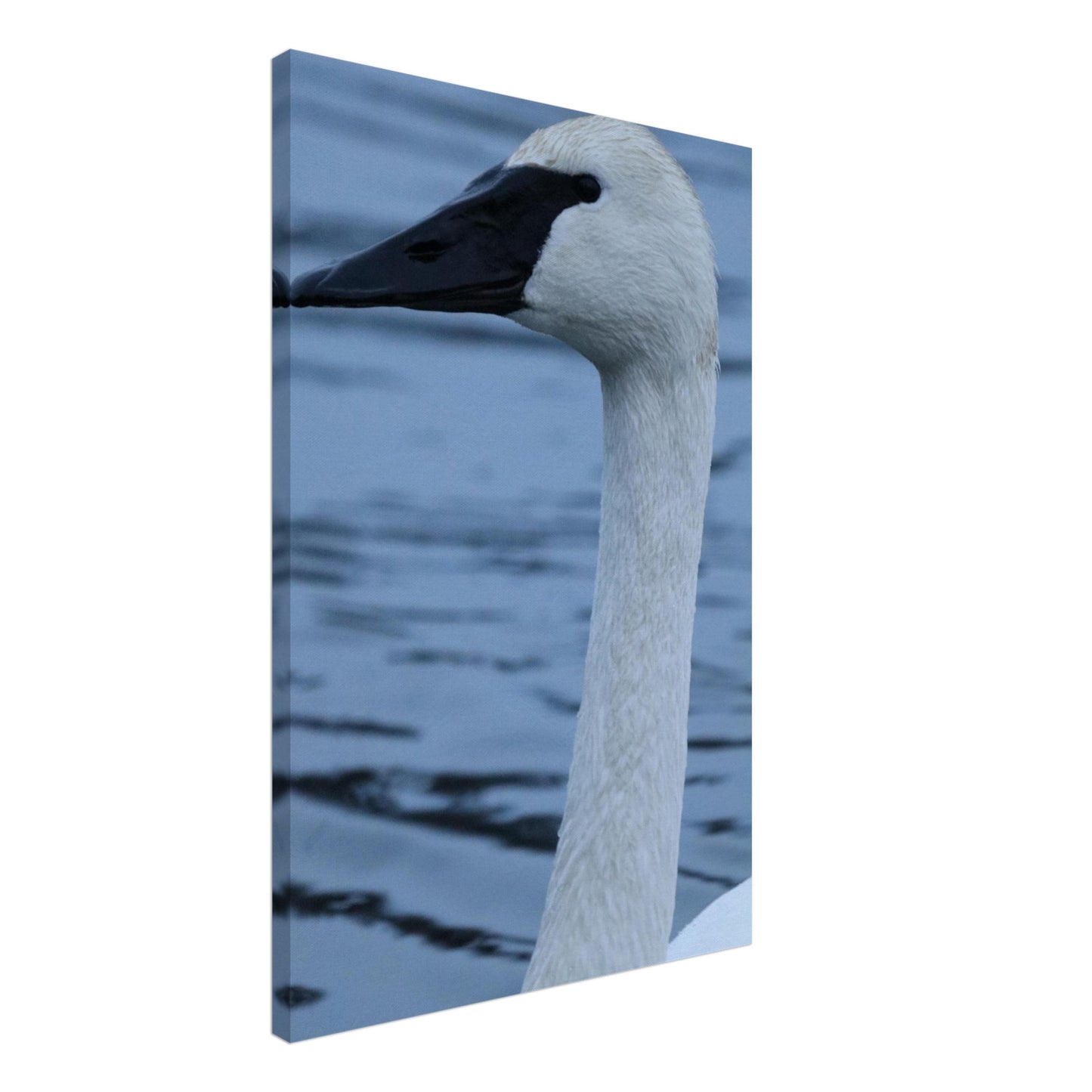 2c99d130-196e-4aff-98e2-c31ceb0dd9a1
