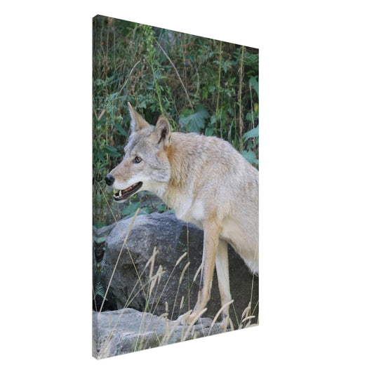 2d08e50f-8f9f-46d4-8795-2b940ad23ad4