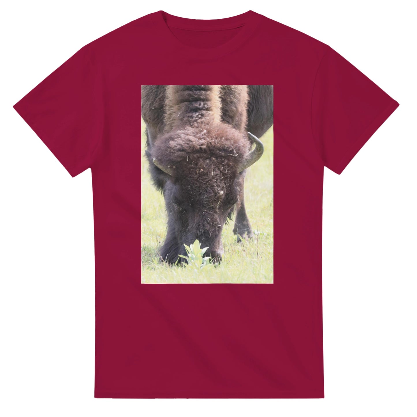 2d7f2509-6ee2-4d2f-8fcb-9e2c31de9eed