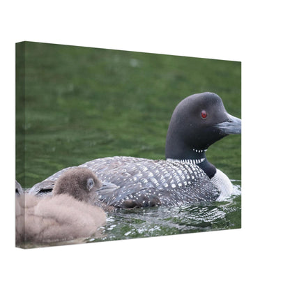 2ec441bd-527a-4393-b77a-e053ce4fbb29