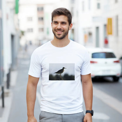 2ef27a71-f554-454b-901c-85ba872c31d1