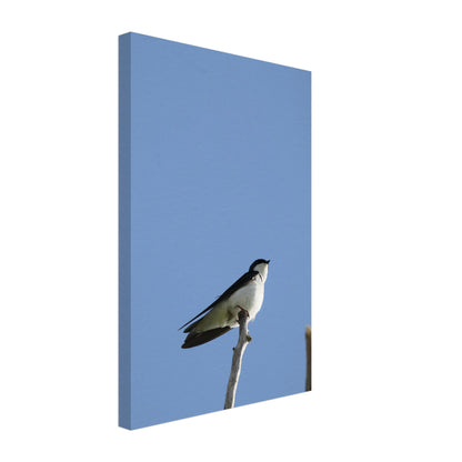 2ef565db-9e34-43f5-b0fc-10aeea7f31dc