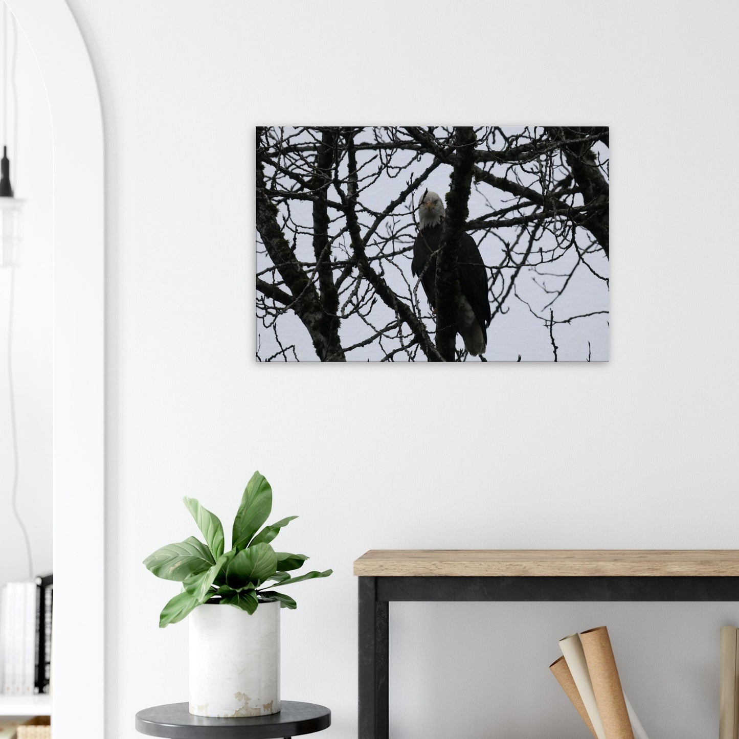 2f0e9539-ae3e-4a56-b353-83d8581b82cd