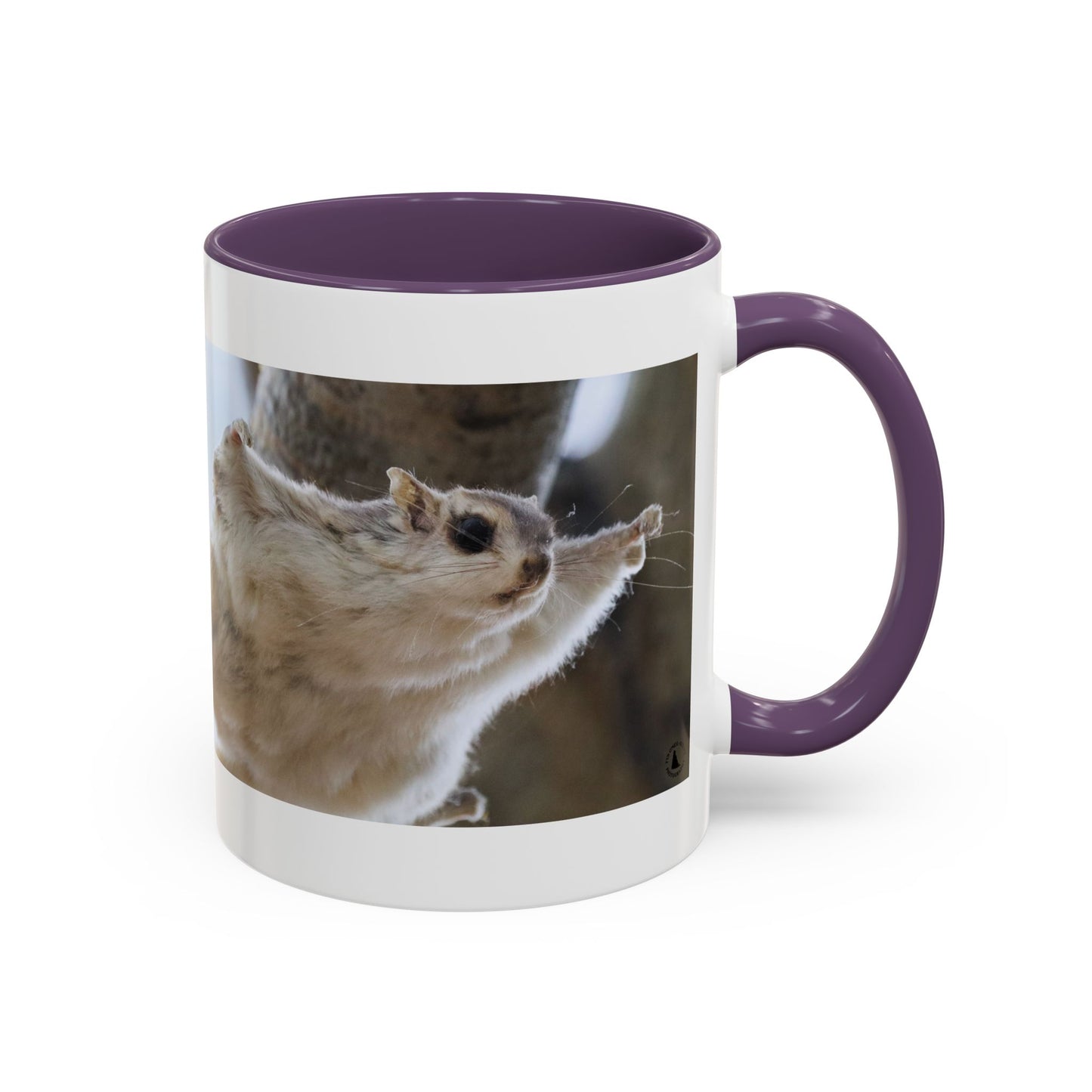 Flying Squirrel Accent Coffee Mug — Cute Wildlife Photo Mug (11/15oz)