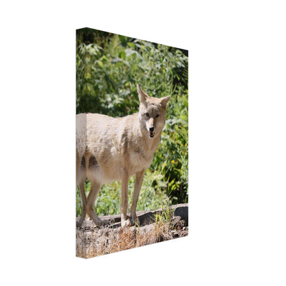 309bf071-25d9-4bc3-aed9-41fad064843d