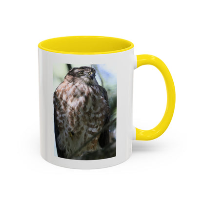 Hawk Photo Accent Coffee Mug — Birdwatcher Gift, 11/15oz