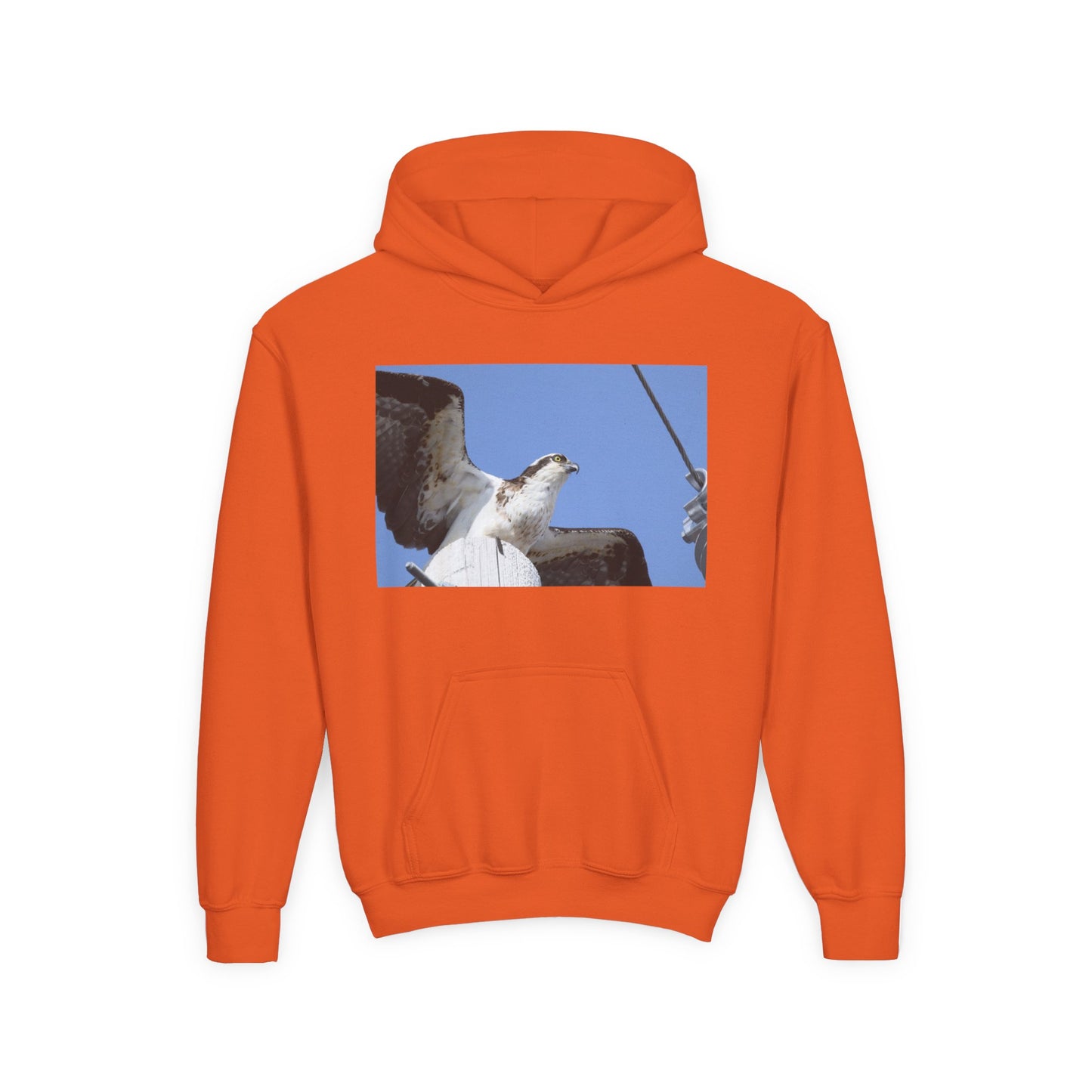 Youth Osprey Photo Hoodie — Kids Birdwatching Nature Pullover