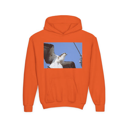 Youth Osprey Photo Hoodie — Kids Birdwatching Nature Pullover