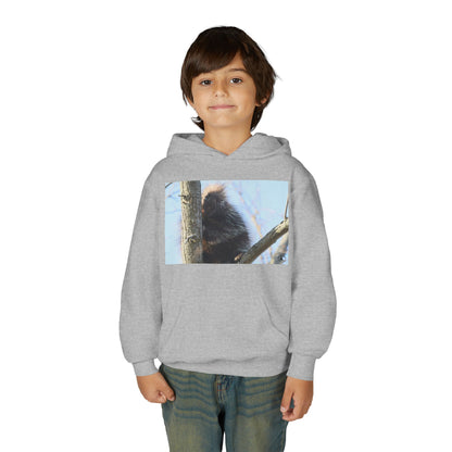 Youth Hoodie with Tree-Climbing Porcupine Photo – Cute Wildlife Kids Sweatshirt