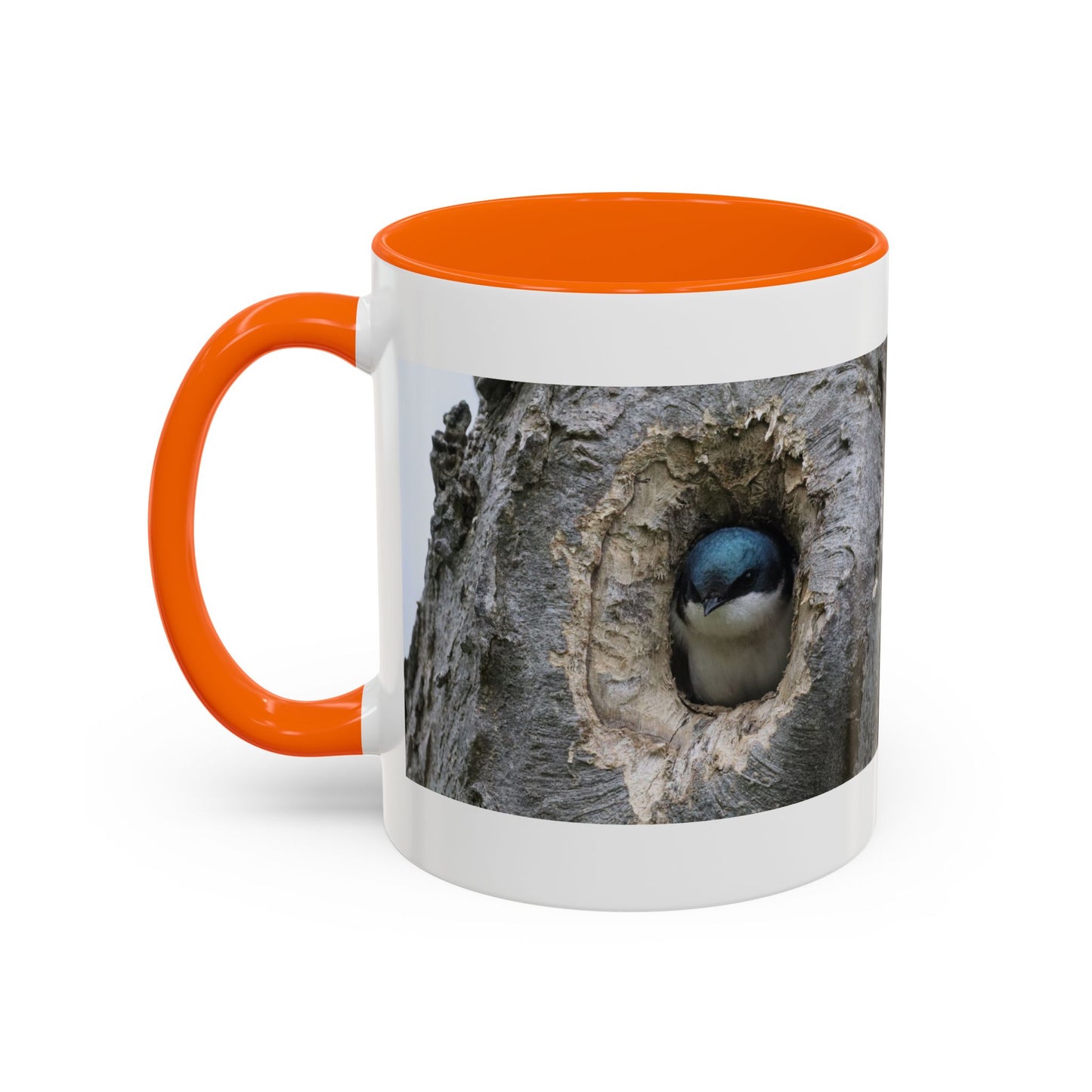 Bluebird in Tree Cavity Accent Coffee Mug — Nature Wildlife Ceramic Mug (11/15oz)